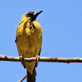 IMG_2893_DXO02.jpg