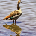 IMG_3100_DXO02.jpg