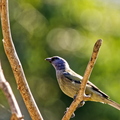 IMG_3434_DXO01.jpg