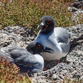 IMG_5592_DXO01.jpg