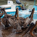 IMG_5695_DXO01.jpg