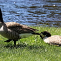 IMG_5895_DXO02.jpg