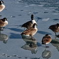 IMG_7270_DXO01.jpg