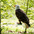 IMG_7707_DXO01.jpg