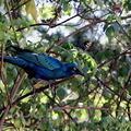 IMG_8187_DXO02.jpg