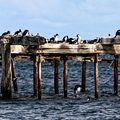 IMG_9360_DXO02.jpg
